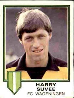 1981 Panini Voetbal 81 #293 Harry Suvee