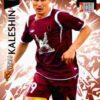 2010-11 Panini UCL Adrenalyn XL #272 Vitali Kaleshin