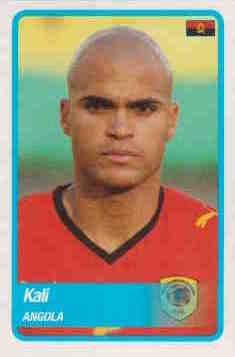 2010 Panini Africa Cup Stickers #010 Kali