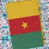 2010 Panini Africa Cup Stickers #024 Cameroon Flag