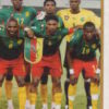 2010 Panini Africa Cup Stickers #026 Team Cameroon 2-2