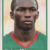 2010 Panini Africa Cup Stickers #037 Stephane Mbia