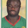 2010 Panini Africa Cup Stickers #038 Modeste MBami