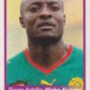 2010 Panini Africa Cup Stickers #039 Pierre Webo