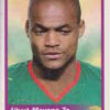 2010 Panini Africa Cup Stickers #041 Albert Meyong Ze