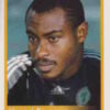 2010 Panini Africa Cup Stickers #084 Vincent Enyeama