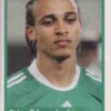 2010 Panini Africa Cup Stickers #093 Peter Odemwingie