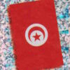 2010 Panini Africa Cup Stickers #100 Tunisia Flag