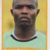 2010 Panini Africa Cup Stickers #180 Richard Kingson