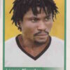 2010 Panini Africa Cup Stickers #190 Laryea Kingston