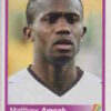 2010 Panini Africa Cup Stickers #192 Matthew Amoah