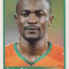 2010 Panini Africa Cup Stickers #246 Didier Zokora