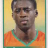 2010 Panini Africa Cup Stickers #247 Yaya Toure