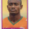 2010 Panini Africa Cup Stickers #249 Salomon Kalou