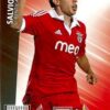 2012-13 Panini UCL Adrenalyn XL #067 Eduardo Salvio