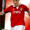 2012-13 Panini UCL Adrenalyn XL #069 Óscar Cardozo