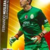 2012-13 Panini UCL Adrenalyn XL #100 Fernando Muslera