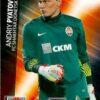 2012-13 Panini UCL Adrenalyn XL #247 Andriy Pyatov