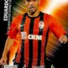 2012-13 Panini UCL Adrenalyn XL #253 Eduardo da Silva