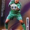 2012-13 Panini UCL Adrenalyn XL #292 Timo Hildebrand