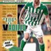 2013-14 Panini Liga BBVA Megacracks #083 Vadillo