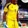 2014 Panini FIFA World Cup Brazil Adrenalyn XL #263 Vincent Enyeama