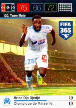 2015-16 Panini FIFA 365 Adrenalyn XL #120 Brice Dja Djedje