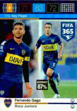 2015-16 Panini FIFA 365 Adrenalyn XL #173 Fernando Gago