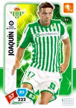 2019-20 Panini La Liga Santander Adrenalyn XL #083 Joaquin Sanchez