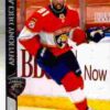 2020-21 Upper Deck Hockey Extended Series #556 Anthony Duclair