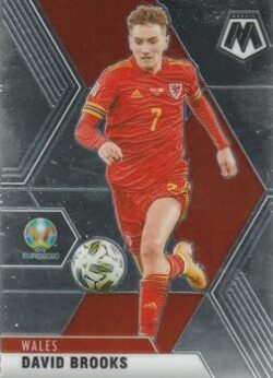 2020-21 Panini UEFA EURO 2020 Mosaic Soccer #195 David Brooks