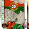 2023 Topps Pristine Road to UEFA EURO 2024 #PB-RL Pristine Borders Rafael Leão